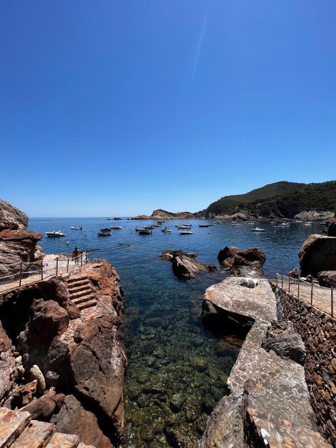 Cap Sa Sal Suites -Apartament Begur - Costa Brava Dış mekan fotoğraf