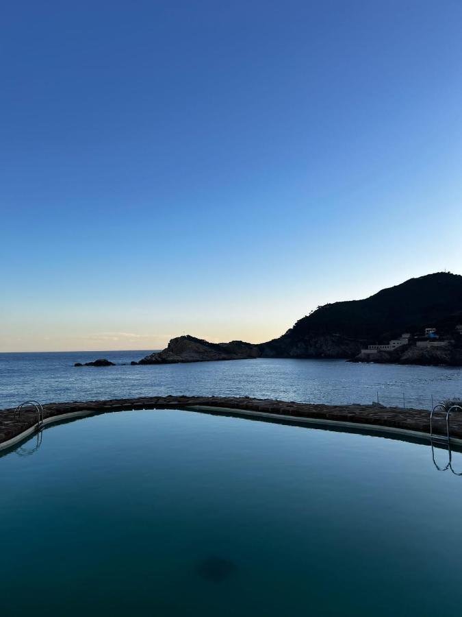 Cap Sa Sal Suites -Apartament Begur - Costa Brava Dış mekan fotoğraf